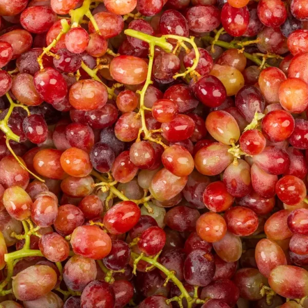 Le Raisin rosé sans pépin