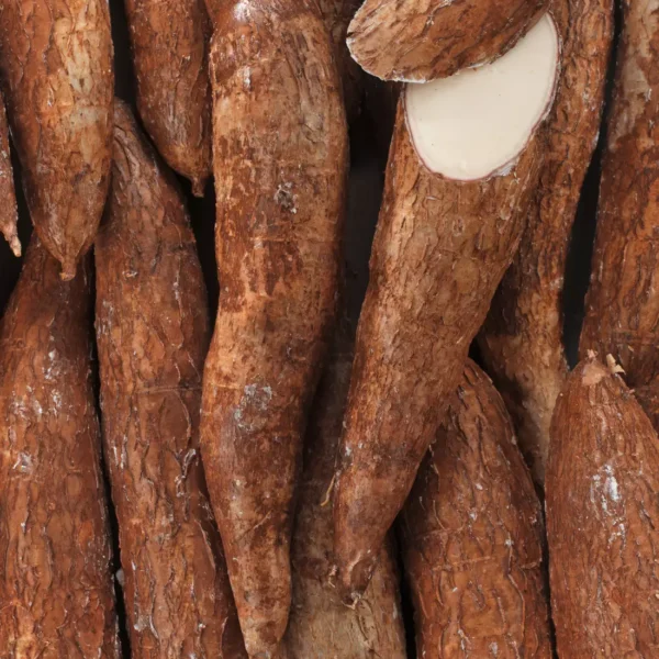 Le Manioc