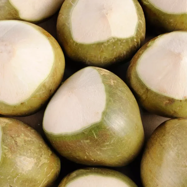 La Noix de coco fraîche